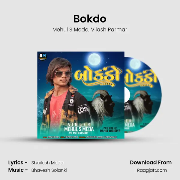 Bokdo - Mehul S Meda album cover 