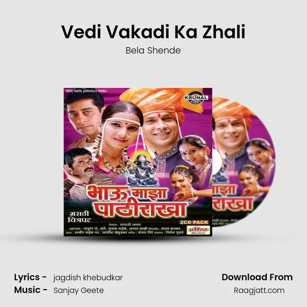 Vedi Vakadi Ka Zhali - Bela Shende album cover 