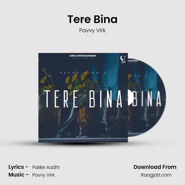 Tere Bina mp3 song