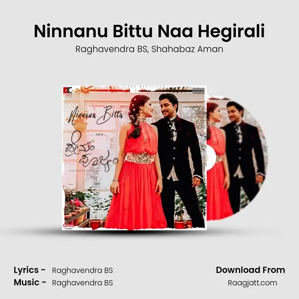 Ninnanu Bittu Naa Hegirali - Raghavendra BS album cover 