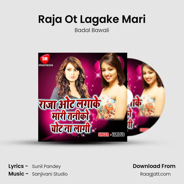 Raja Ot Lagake Mari - Badal Bawali album cover 