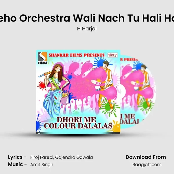 Aeho Orchestra Wali Nach Tu Hali Hali mp3 song