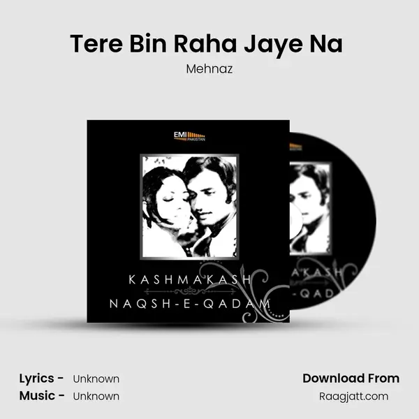 Tere Bin Raha Jaye Na (From 