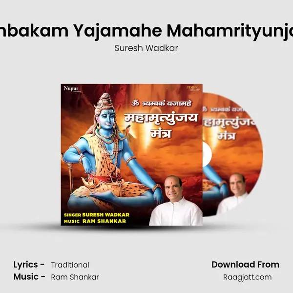 Om Trayambakam Yajamahe Mahamrityunjaya Mantra mp3 song