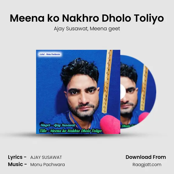 Meena ko Nakhro Dholo Toliyo mp3 song