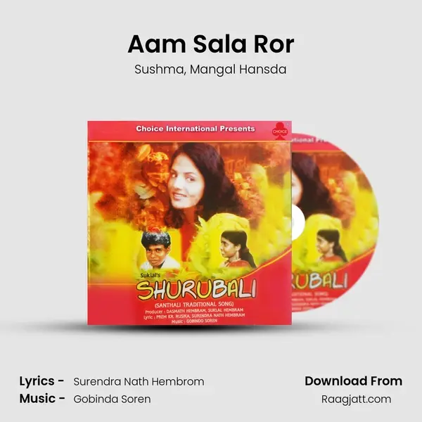 Aam Sala Ror mp3 song