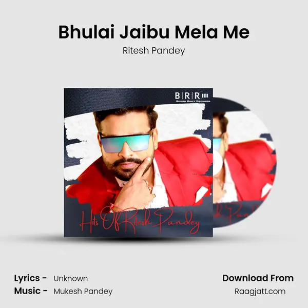 Bhulai Jaibu Mela Me mp3 song