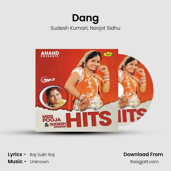 Dang - Sudesh Kumari album cover 