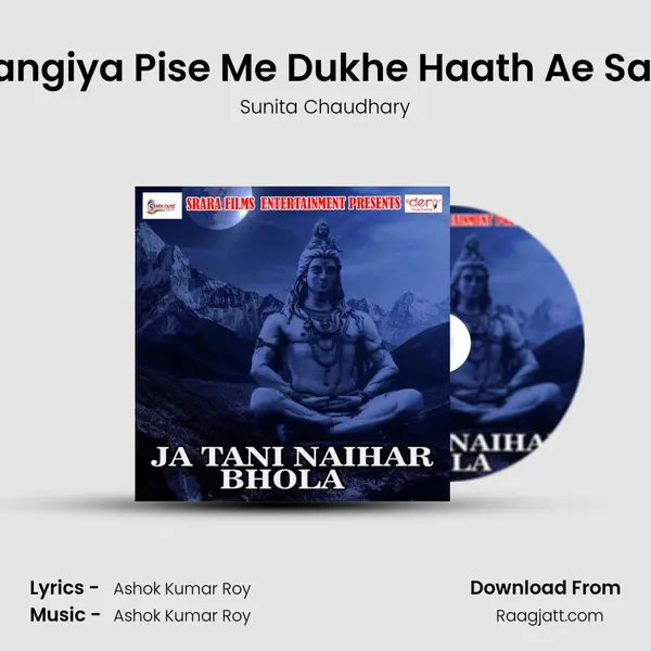 Bhangiya Pise Me Dukhe Haath Ae Sakhi - Sunita Chaudhary album cover 