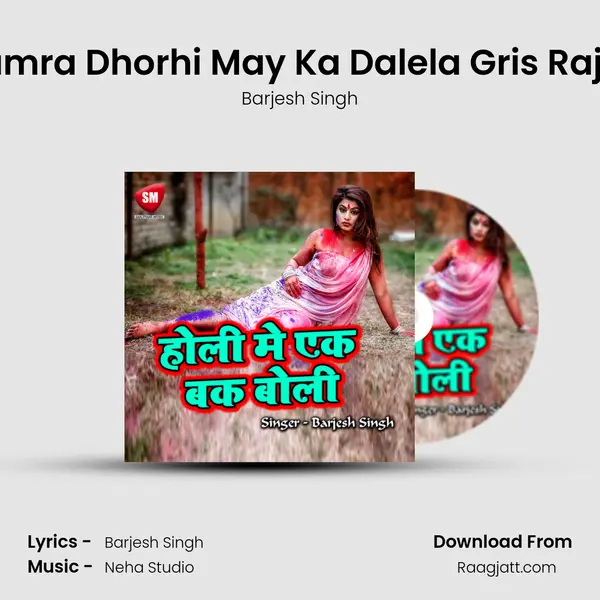 Hamra Dhorhi May Ka Dalela Gris Rajaji - Barjesh Singh album cover 