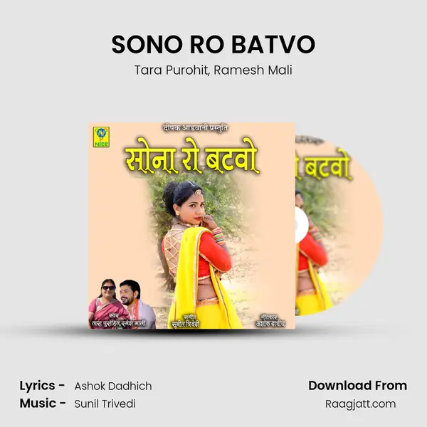 SONO RO BATVO - Tara Purohit album cover 