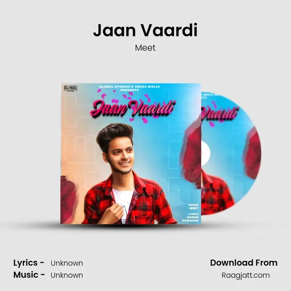 Jaan Vaardi - Meet album cover 