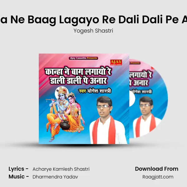 Kanha Ne Baag Lagayo Re Dali Dali Pe Anaar - Yogesh Shastri album cover 