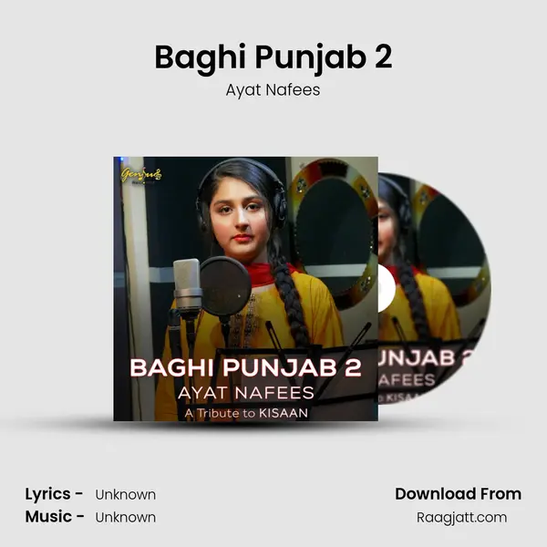 Baghi Punjab 2 - Ayat Nafees album cover 