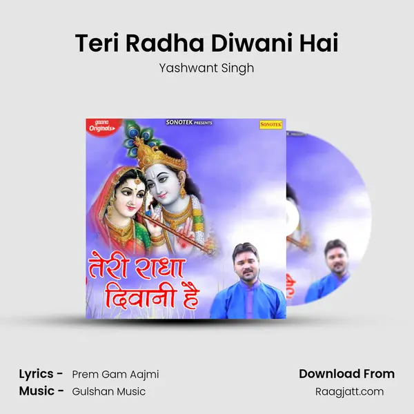 Teri Radha Diwani Hai mp3 song