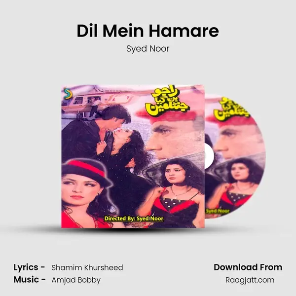 Dil Mein Hamare - Syed Noor album cover 