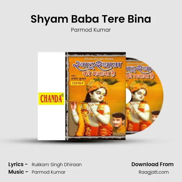 Shyam Baba Tere Bina mp3 song