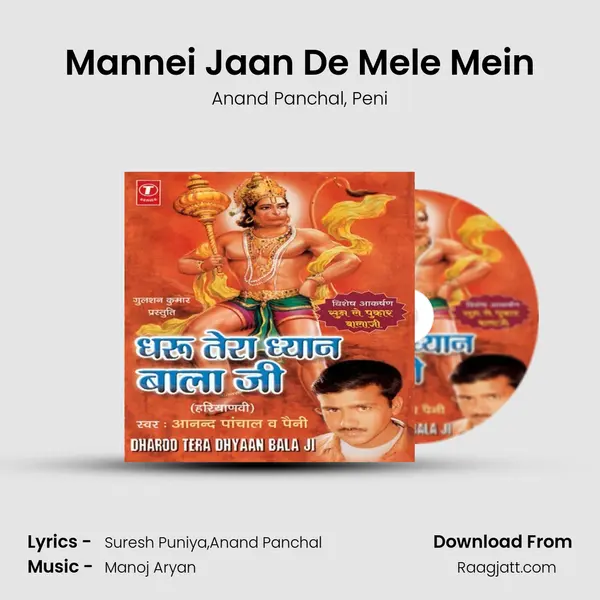 Mannei Jaan De Mele Mein - Anand Panchal album cover 