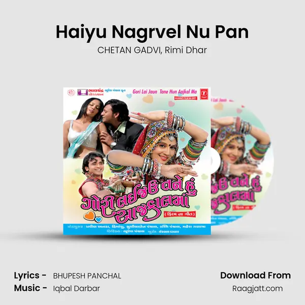 Haiyu Nagrvel Nu Pan - CHETAN GADVI album cover 