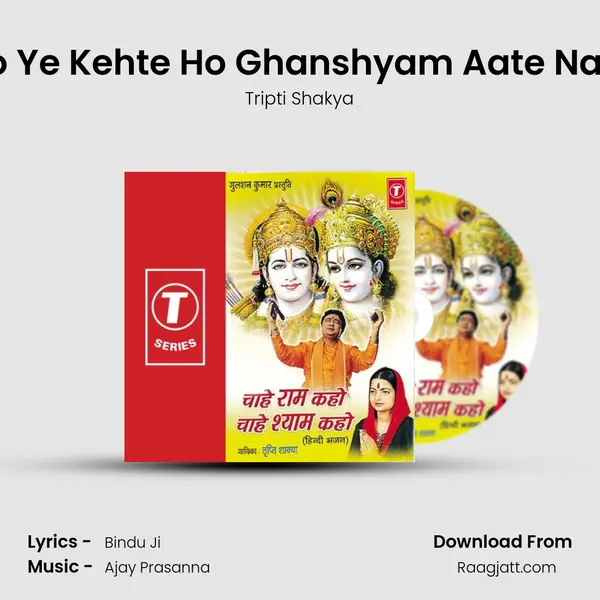 Kyo Ye Kehte Ho Ghanshyam Aate Nahin - Tripti Shakya album cover 