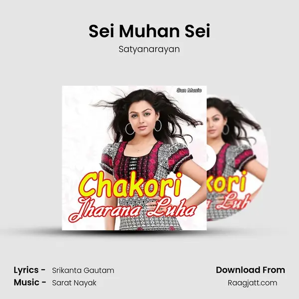 Sei Muhan Sei - Satyanarayan album cover 