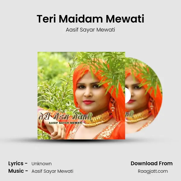 Teri Maidam Mewati - Aasif Sayar Mewati album cover 