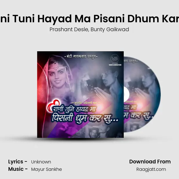 Rani Tuni Hayad Ma Pisani Dhum Karsu - Prashant Desle album cover 