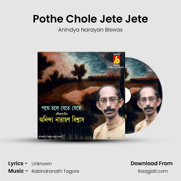 Pothe Chole Jete Jete - Anindya Narayan Biswas album cover 