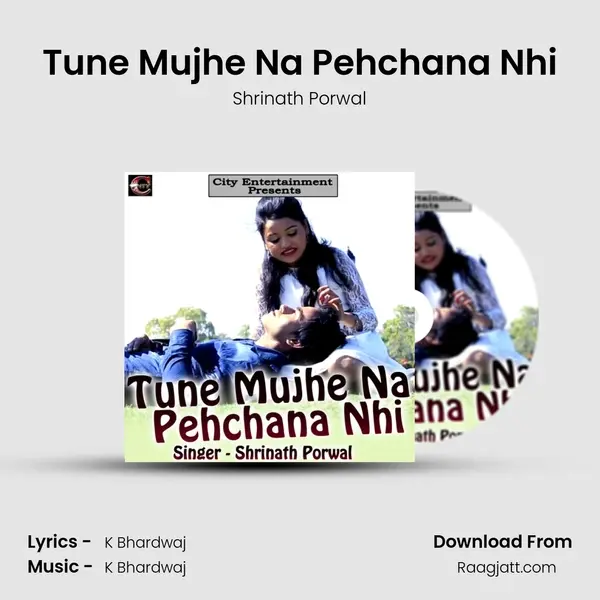 Tune Mujhe Na Pehchana Nhi - Shrinath Porwal album cover 