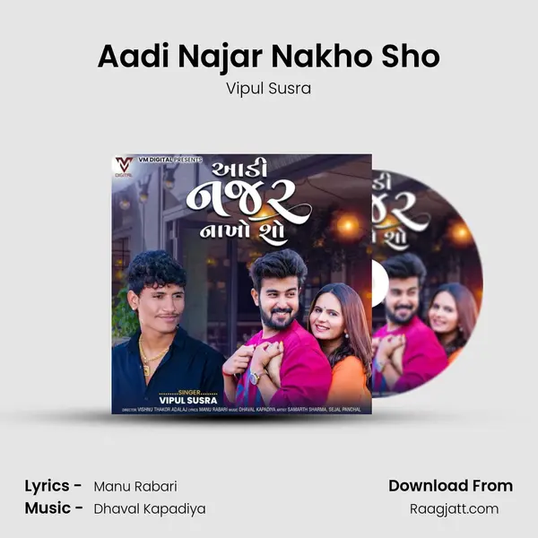 Aadi Najar Nakho Sho - Vipul Susra album cover 