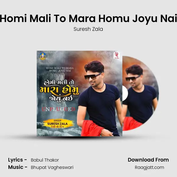 Homi Mali To Mara Homu Joyu Nai mp3 song