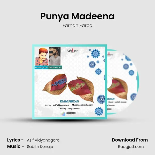 Punya Madeena - Farhan Faroo album cover 