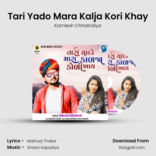 Tari Yado Mara Kalja Kori Khay - Kamlesh Chhatraliya album cover 