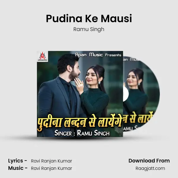 Pudina Ke Mausi mp3 song