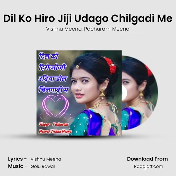 Dil Ko Hiro Jiji Udago Chilgadi Me - Vishnu Meena album cover 