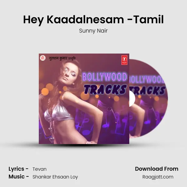 Hey Kaadalnesam -Tamil - Sunny Nair album cover 