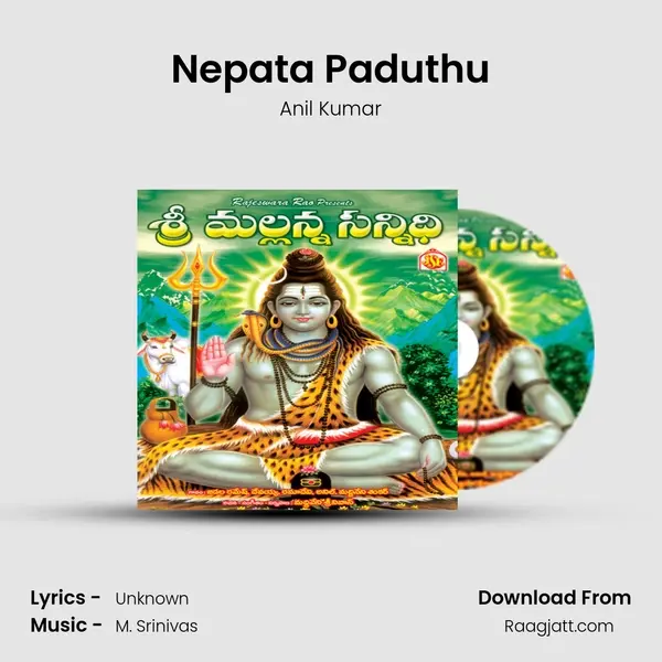 Nepata Paduthu - Anil Kumar album cover 