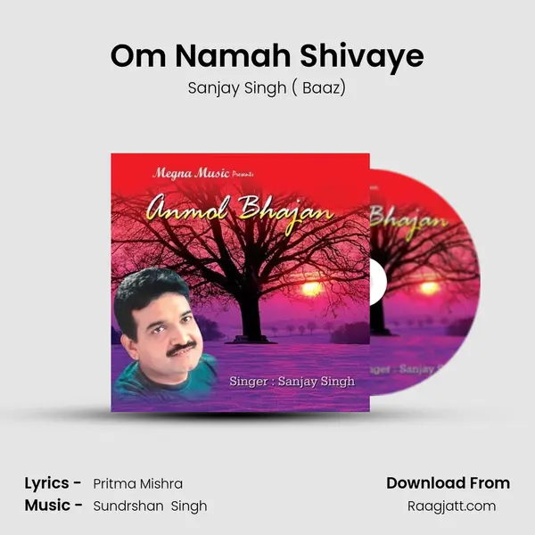 Om Namah Shivaye - Sanjay Singh ( Baaz) album cover 