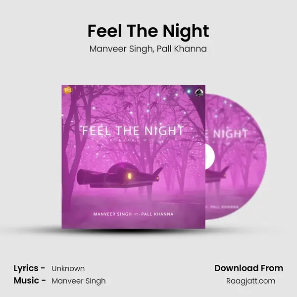 Feel The Night - Manveer Singh album cover 