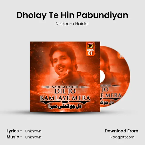 Dholay Te Hin Pabundiyan - Nadeem Haider album cover 