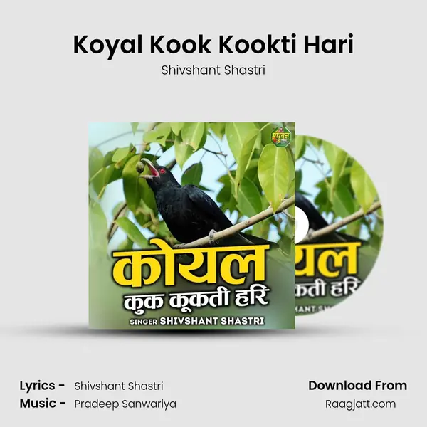 Koyal Kook Kookti Hari - Shivshant Shastri album cover 