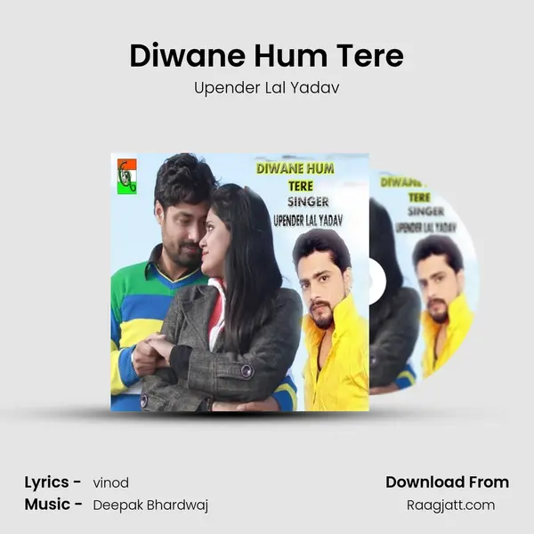 Diwane Hum Tere mp3 song