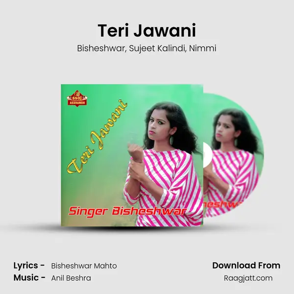 Teri Jawani - Bisheshwar album cover 