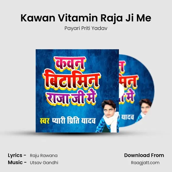 Kawan Vitamin Raja Ji Me - Payari Priti Yadav album cover 