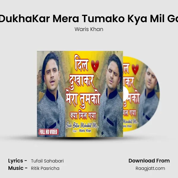 Dil DukhaKar Mera Tumako Kya Mil Gaya mp3 song