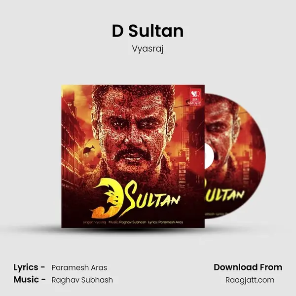 D Sultan - Vyasraj album cover 