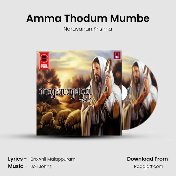 Amma Thodum Mumbe - Narayanan Krishna album cover 