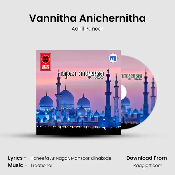 Vannitha Anichernitha - Adhil Panoor album cover 