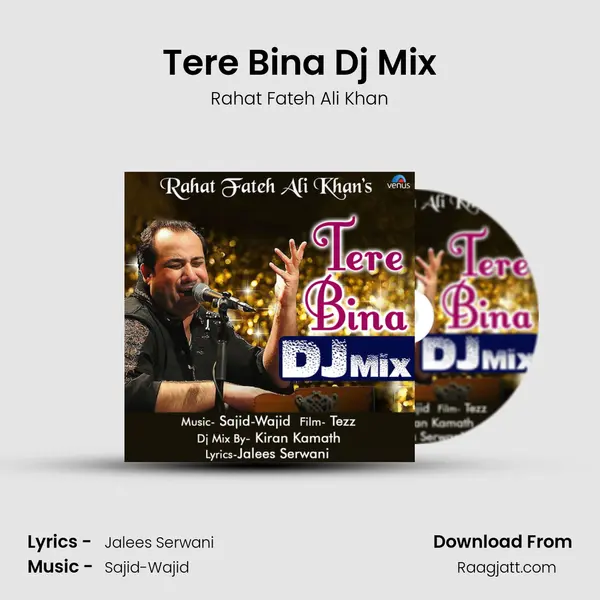 Tere Bina Dj Mix mp3 song