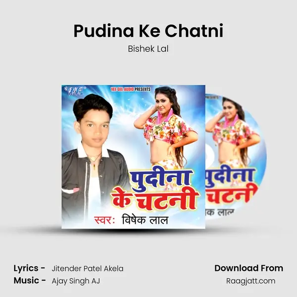 Pudina Ke Chatni mp3 song